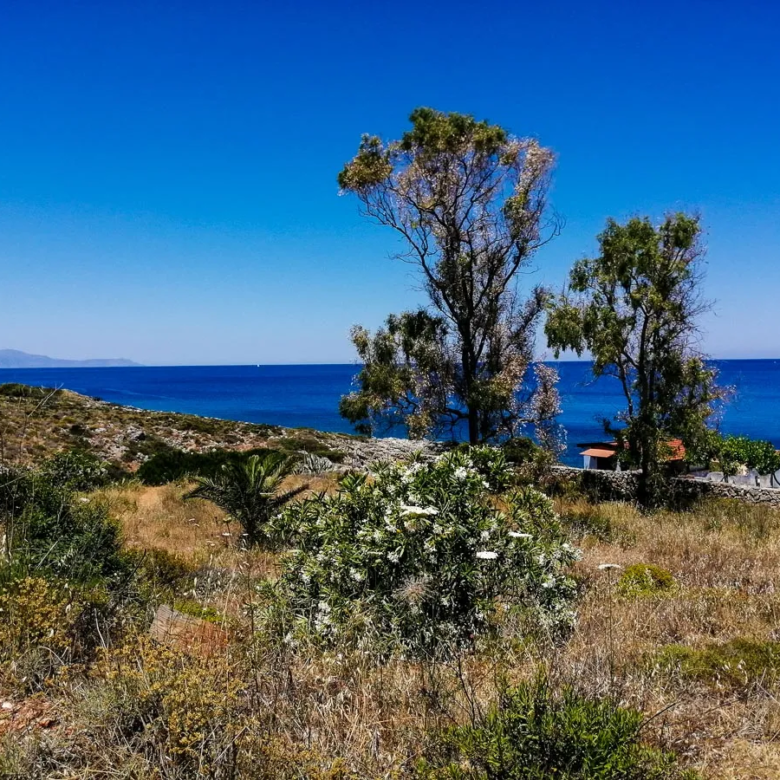 Kalathas Waterfront Plot For Sale, Akrotiri, Chania - ARENCORES Real Estate Agents in Chania, Crete.