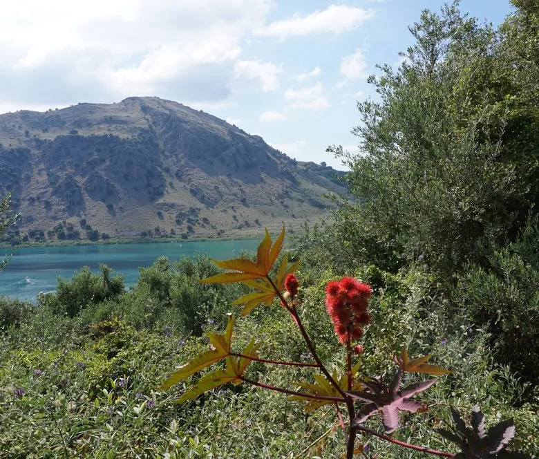 Kournas Lake Views Plot for Sale, Apokoronas, Chania Real Estate Experts