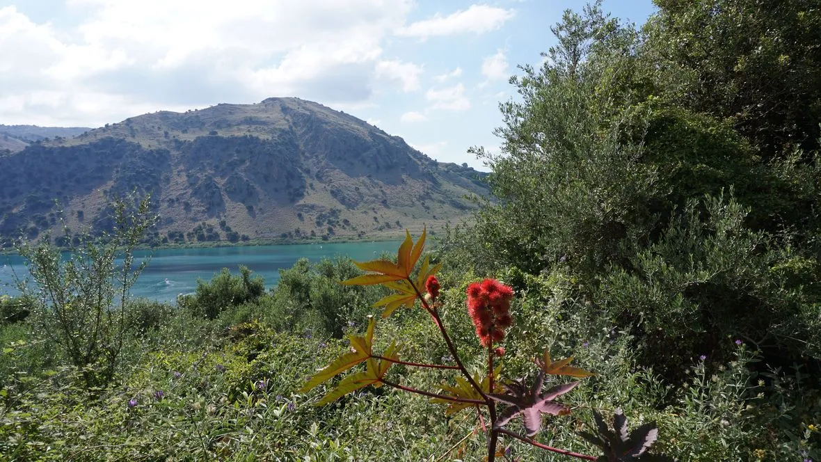 Kournas Lake Views Plot for Sale, Apokoronas, Chania Real Estate Experts