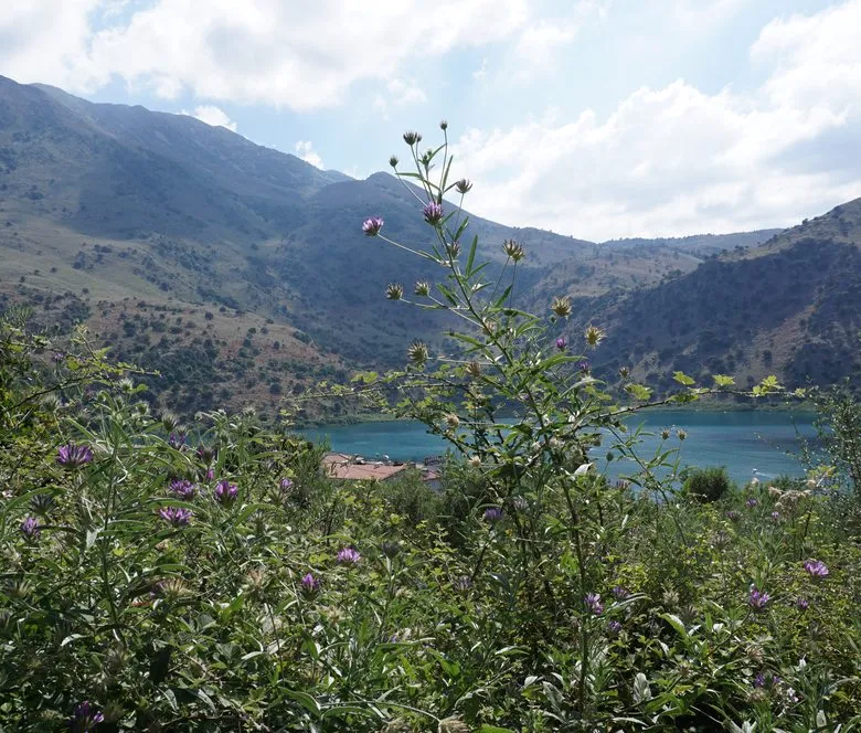 Kournas Lake Views Plot for Sale, Apokoronas, Chania Real Estate Experts