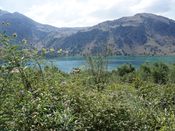 Kournas Lake Views Plot for Sale, Apokoronas, Chania Real Estate Experts