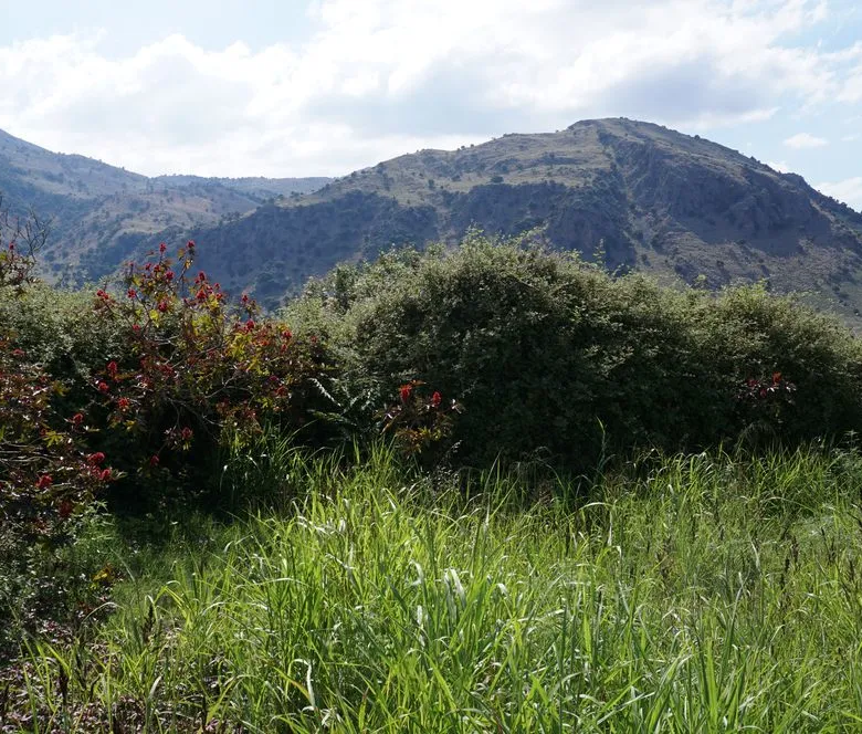 Kournas Lake Views Plot for Sale, Apokoronas, Chania Real Estate Experts