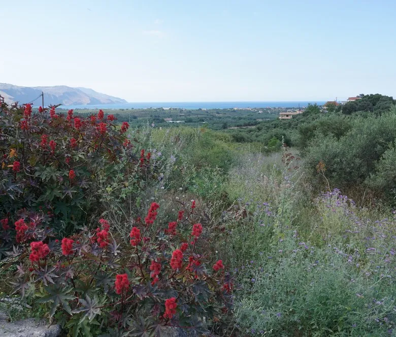 Kournas Panoramic Views Plot for Sale, Apokoronas