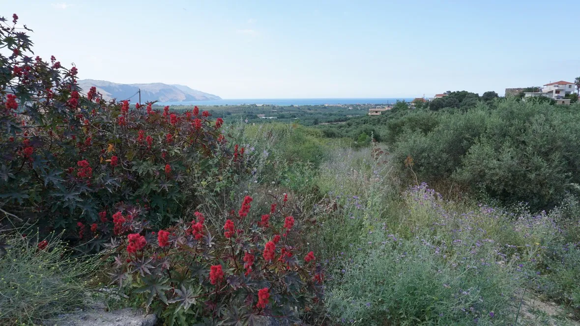 Kournas Panoramic Views Plot for Sale, Apokoronas