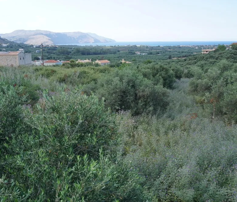 Kournas Panoramic Views Plot for Sale, Apokoronas