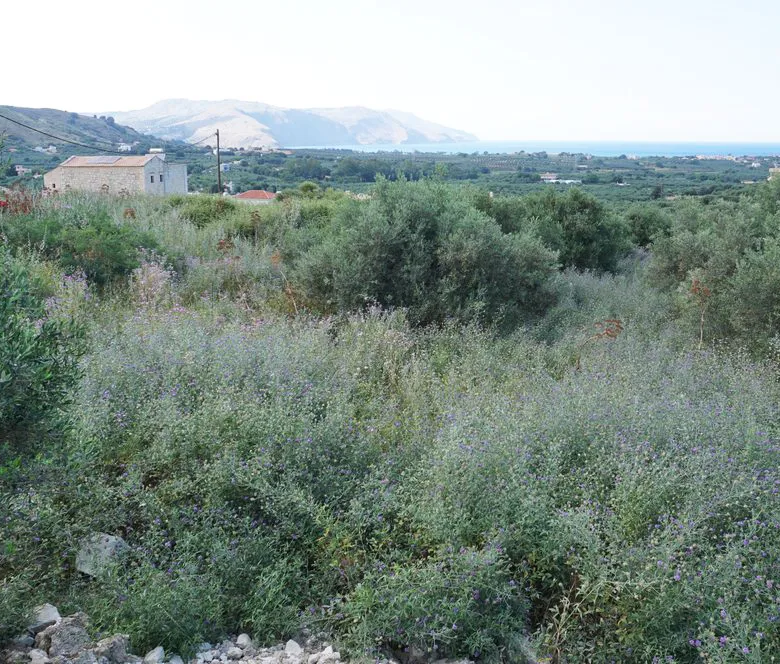 Kournas Panoramic Views Plot for Sale, Apokoronas