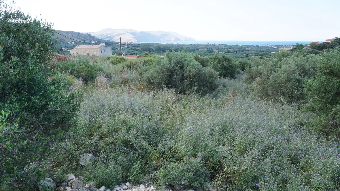 Kournas Panoramic Views Plot for Sale, Apokoronas