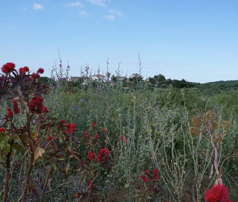 Kournas Panoramic Views Plot for Sale, Apokoronas