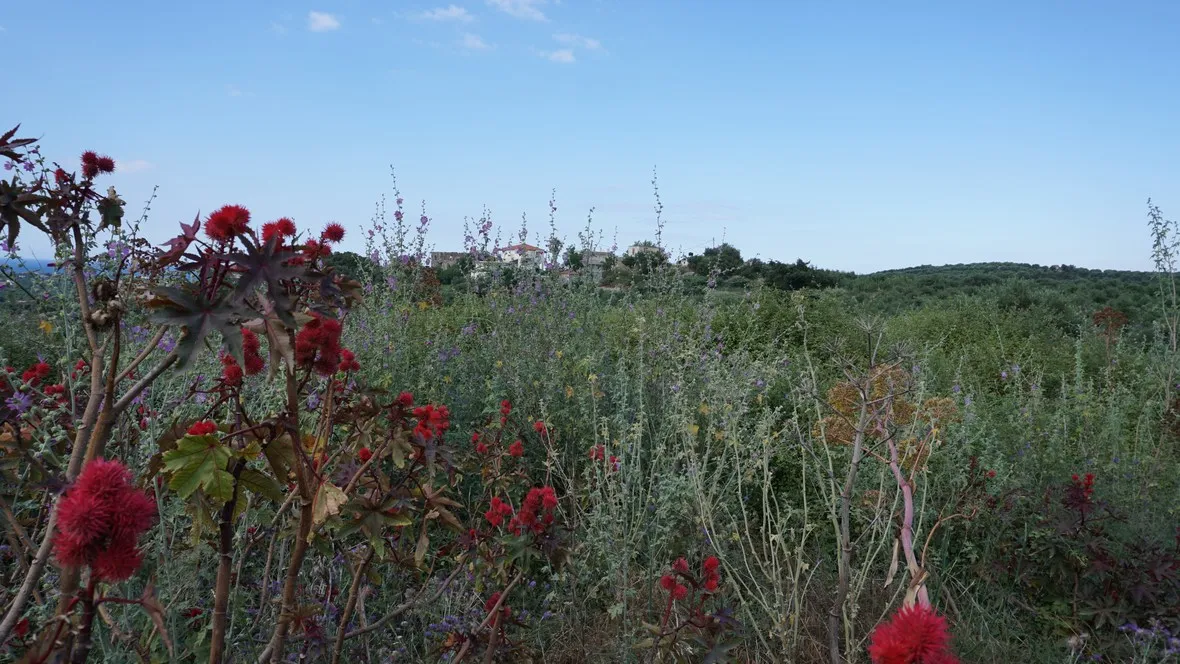 Kournas Panoramic Views Plot for Sale, Apokoronas