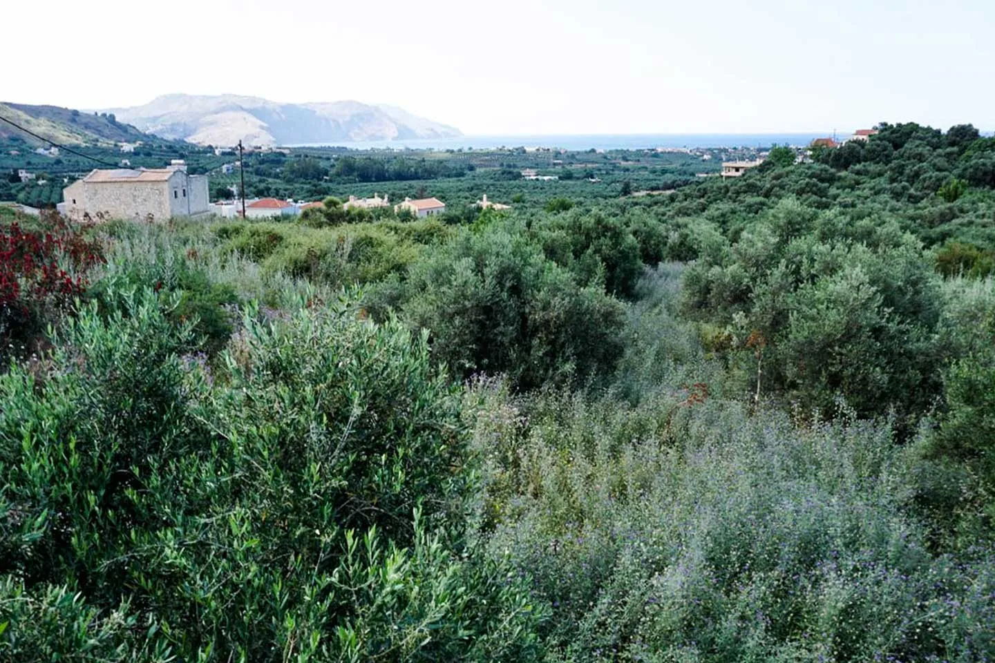 Kournas Panoramic Views Plot for Sale, Apokoronas