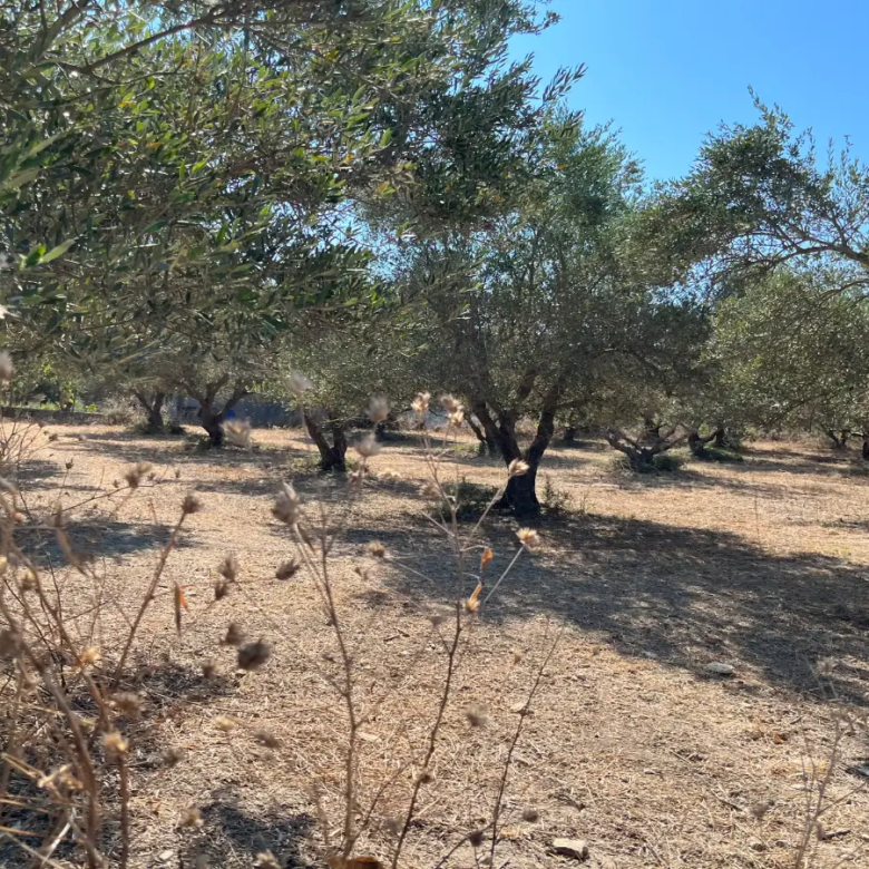 Land with Building Permit in Vryses, Apokoronas - ARENCORES, Chania Real Estate Experts