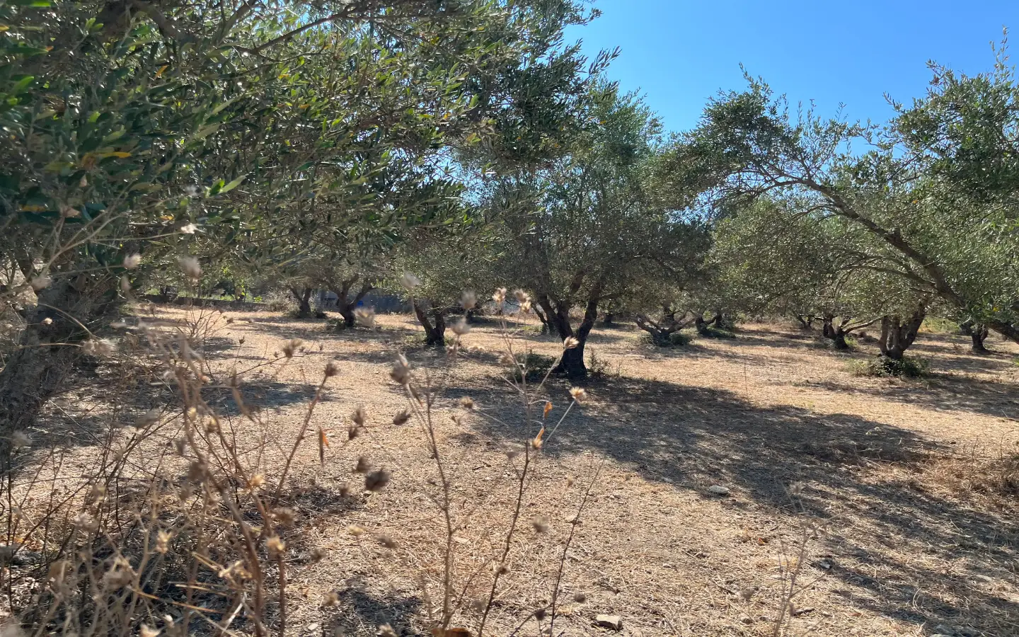 Land with Building Permit in Vryses, Apokoronas - ARENCORES, Chania Real Estate Experts