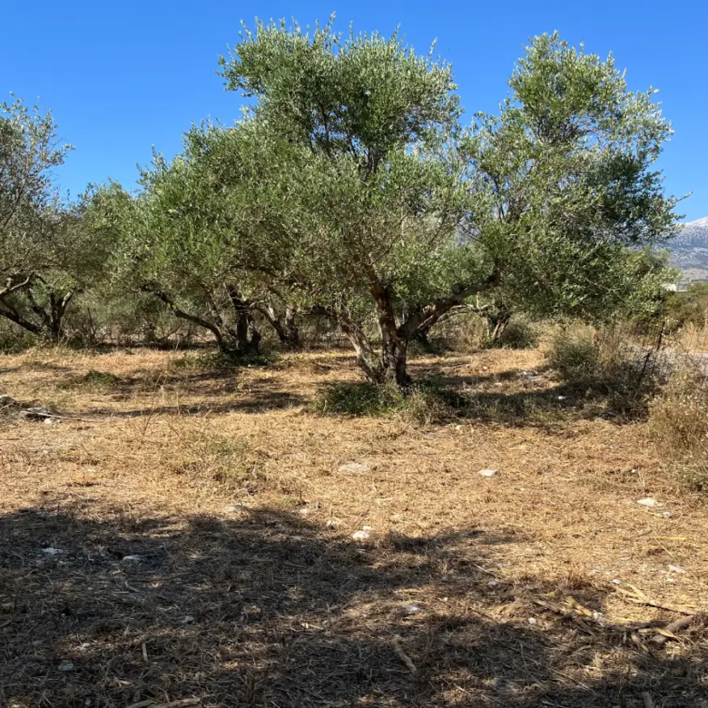 Land with Building Permit in Vryses, Apokoronas - ARENCORES, Chania Real Estate Experts