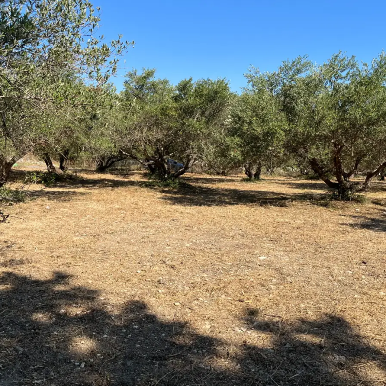Land with Building Permit in Vryses, Apokoronas - ARENCORES, Chania Real Estate Experts