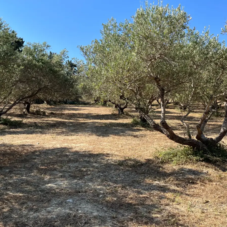 Land with Building Permit in Vryses, Apokoronas - ARENCORES, Chania Real Estate Experts