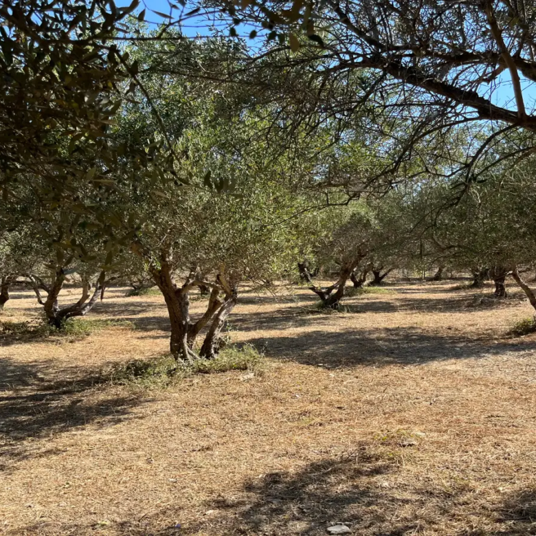 Land with Building Permit in Vryses, Apokoronas - ARENCORES, Chania Real Estate Experts