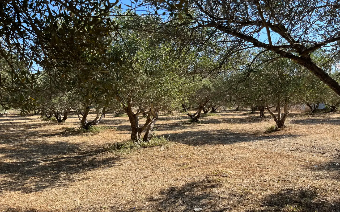 Land with Building Permit in Vryses, Apokoronas - ARENCORES, Chania Real Estate Experts