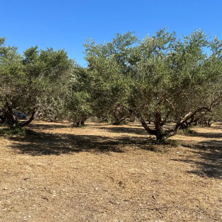 Land with Building Permit in Vryses, Apokoronas - ARENCORES, Chania Real Estate Experts