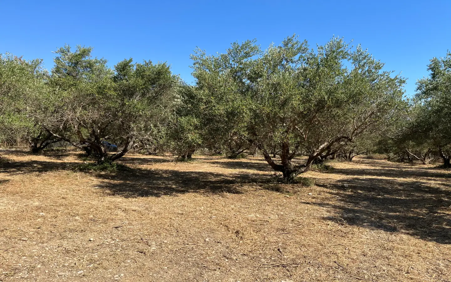 Land with Building Permit in Vryses, Apokoronas - ARENCORES, Chania Real Estate Experts