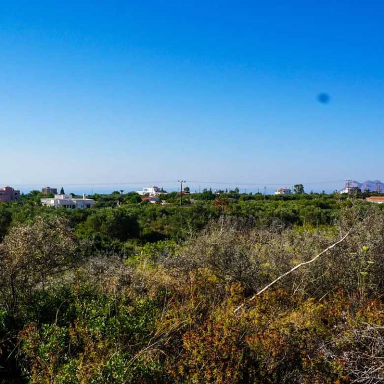 Large Plot for Sale in Korakies, Akrotiri - ARENCORES, Chania Real Estate Experts