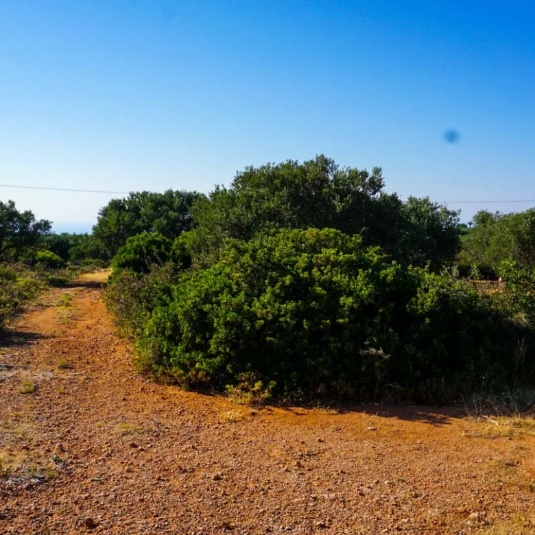 Large Plot for Sale in Korakies, Akrotiri - ARENCORES, Chania Real Estate Experts