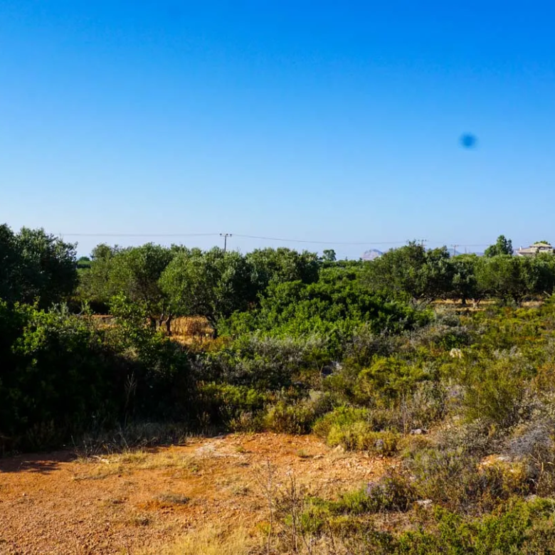Large Plot for Sale in Korakies, Akrotiri - ARENCORES, Chania Real Estate Experts