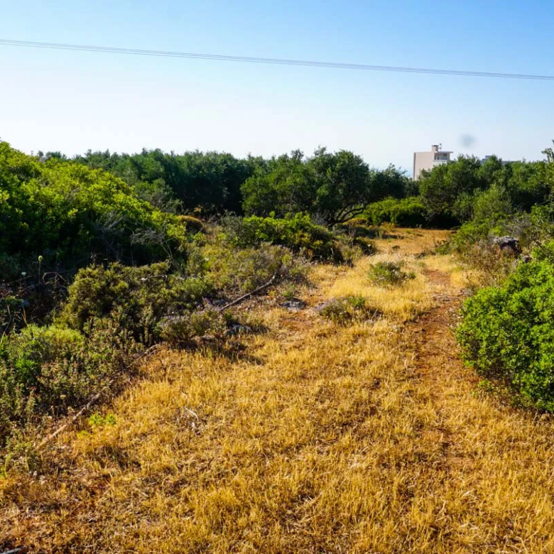 Large Plot for Sale in Korakies, Akrotiri - ARENCORES, Chania Real Estate Experts