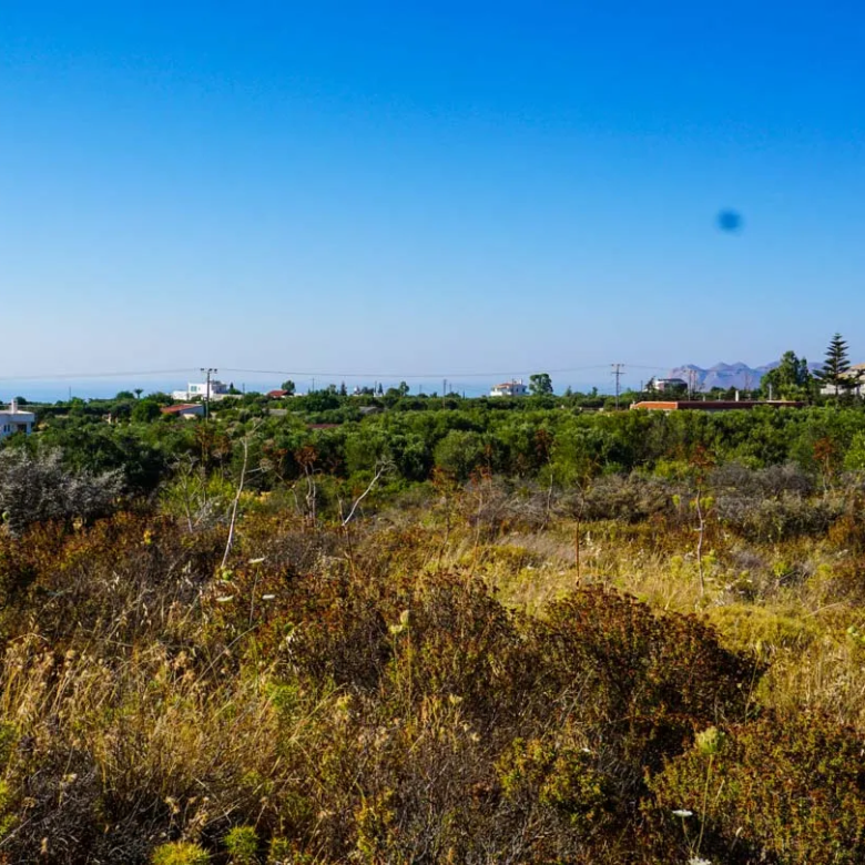 Large Plot for Sale in Korakies, Akrotiri - ARENCORES, Chania Real Estate Experts