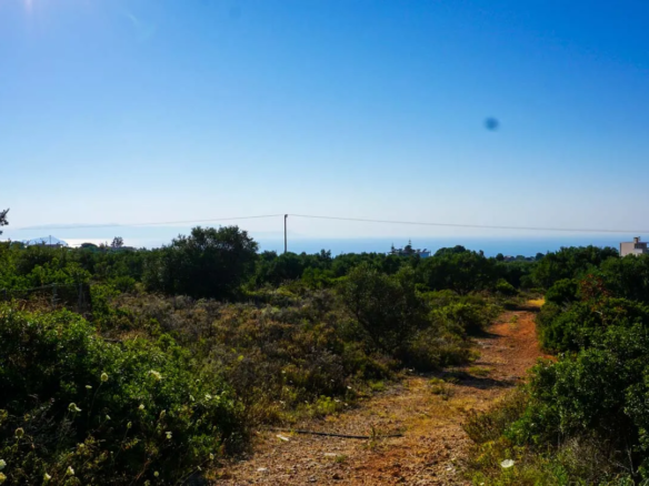 Large Plot for Sale in Korakies, Akrotiri - ARENCORES, Chania Real Estate Experts