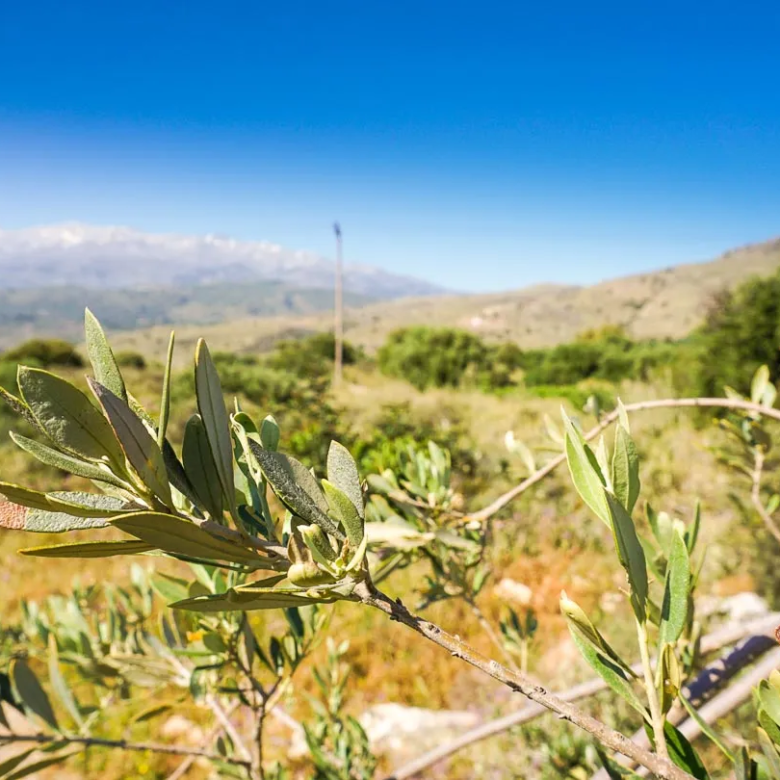 Megala Chorafia plot for sale - Chania Real Estate Agents