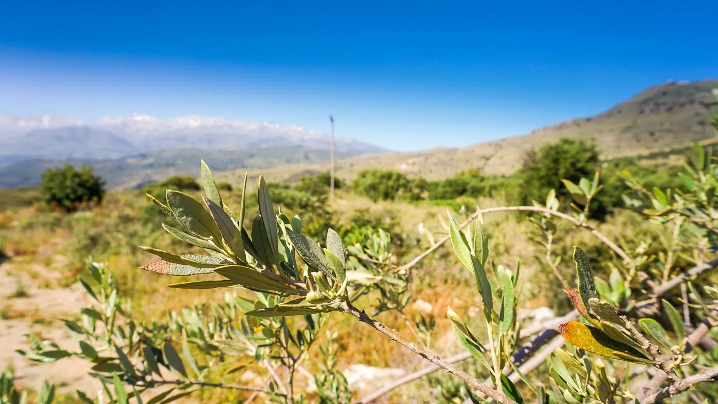 Megala Chorafia plot for sale - Chania Real Estate Agents