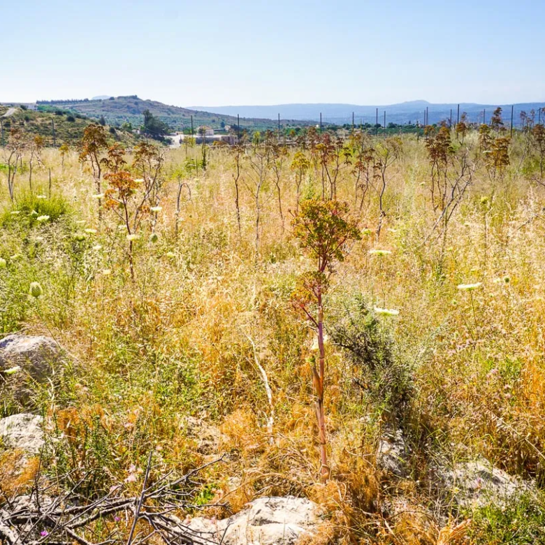 Megala Chorafia plot for sale - Chania Real Estate Agents