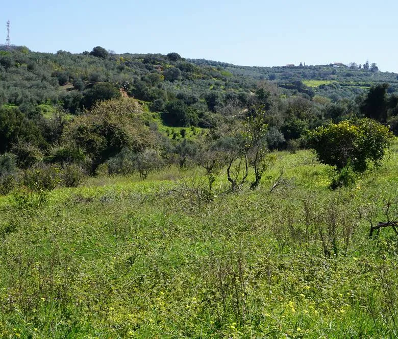 Peaceful Plot for Sale in Platanias - ARENCORES, Chania Real Estate Agents