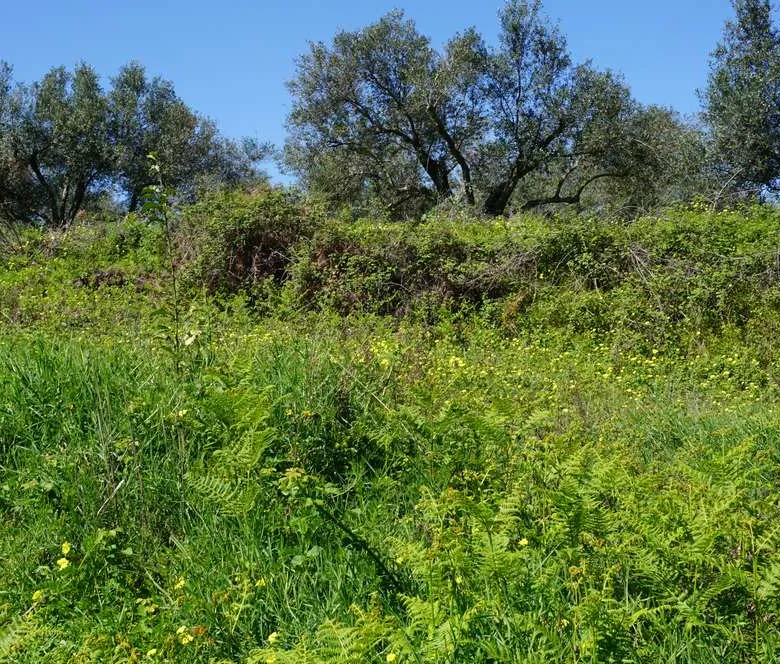 Peaceful Plot for Sale in Platanias - ARENCORES, Chania Real Estate Agents
