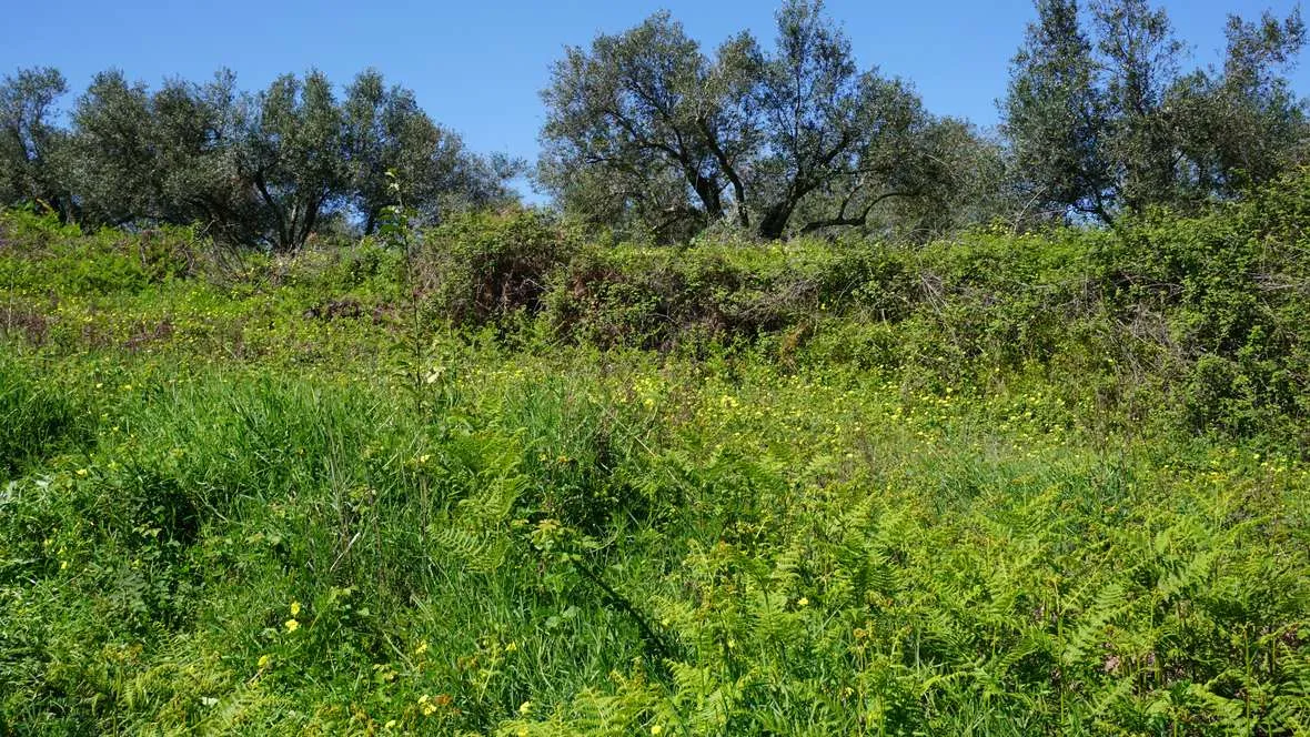 Peaceful Plot for Sale in Platanias - ARENCORES, Chania Real Estate Agents