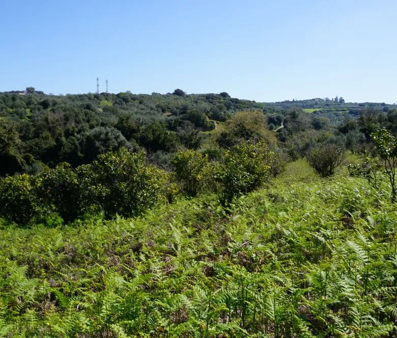 Peaceful Plot for Sale in Platanias - ARENCORES, Chania Real Estate Agents