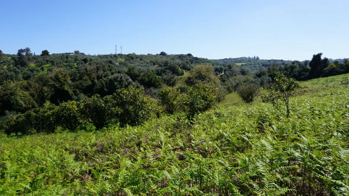 Peaceful Plot for Sale in Platanias - ARENCORES, Chania Real Estate Agents