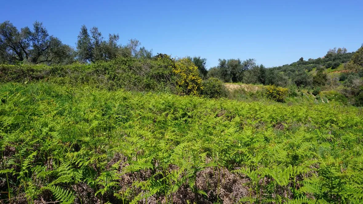 Peaceful Plot for Sale in Platanias - ARENCORES, Chania Real Estate Agents