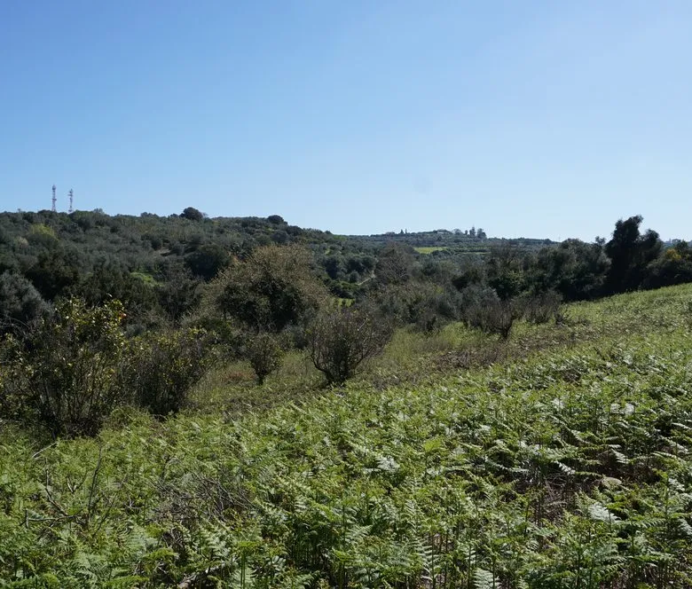 Peaceful Plot for Sale in Platanias - ARENCORES, Chania Real Estate Agents