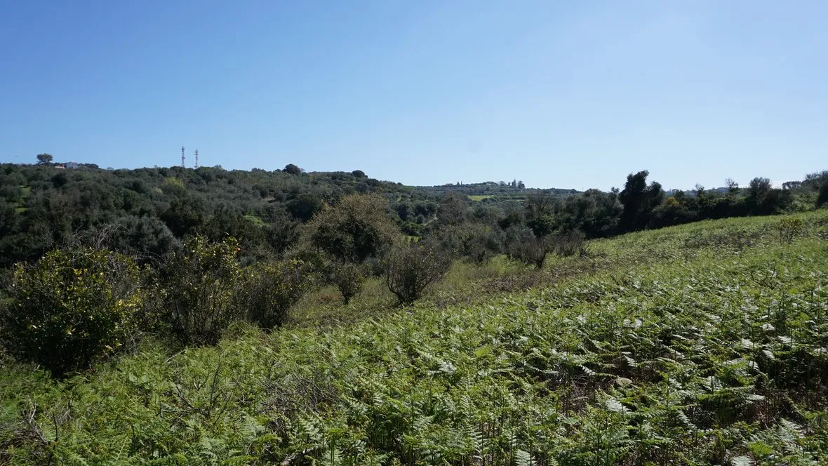 Peaceful Plot for Sale in Platanias - ARENCORES, Chania Real Estate Agents