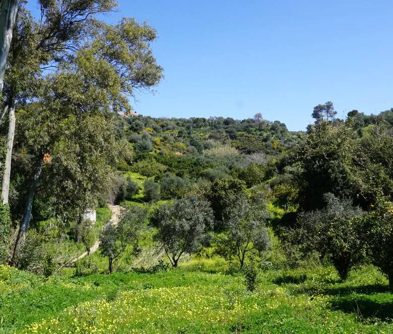 Peaceful Plot for Sale in Platanias - ARENCORES, Chania Real Estate Agents