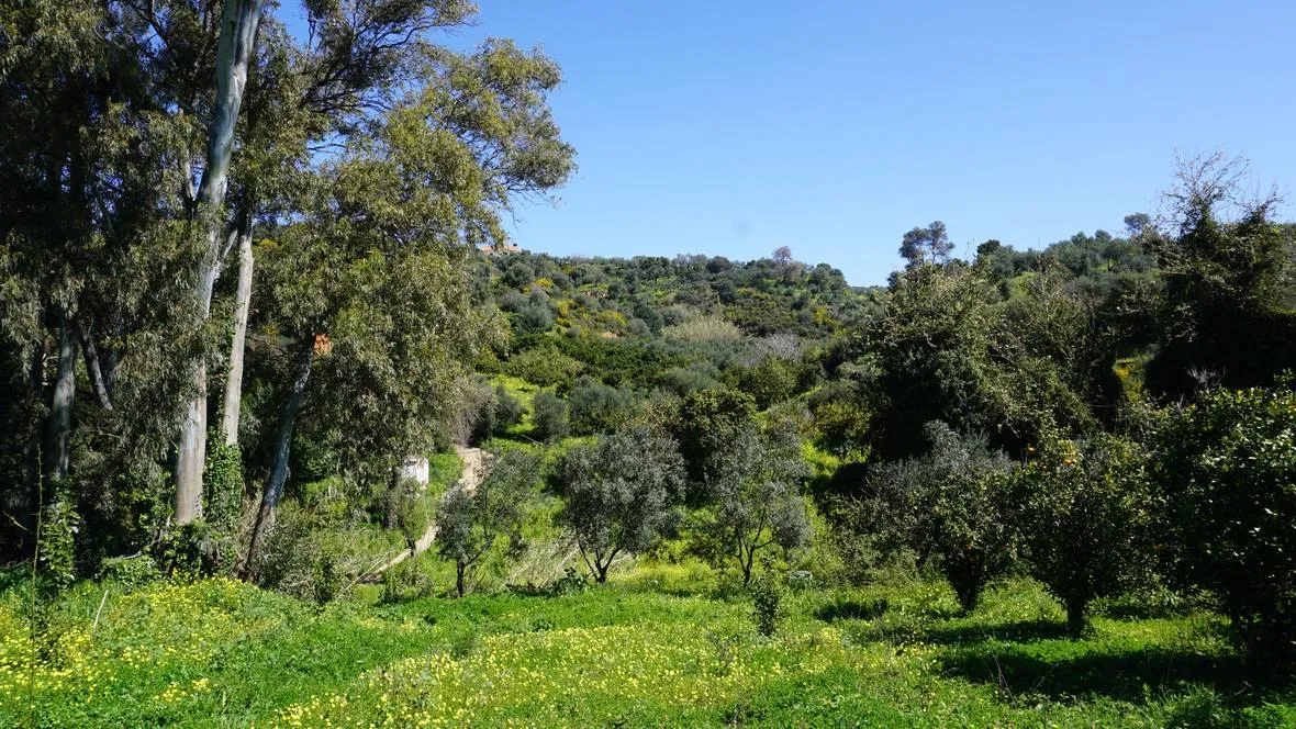 Peaceful Plot for Sale in Platanias - ARENCORES, Chania Real Estate Agents