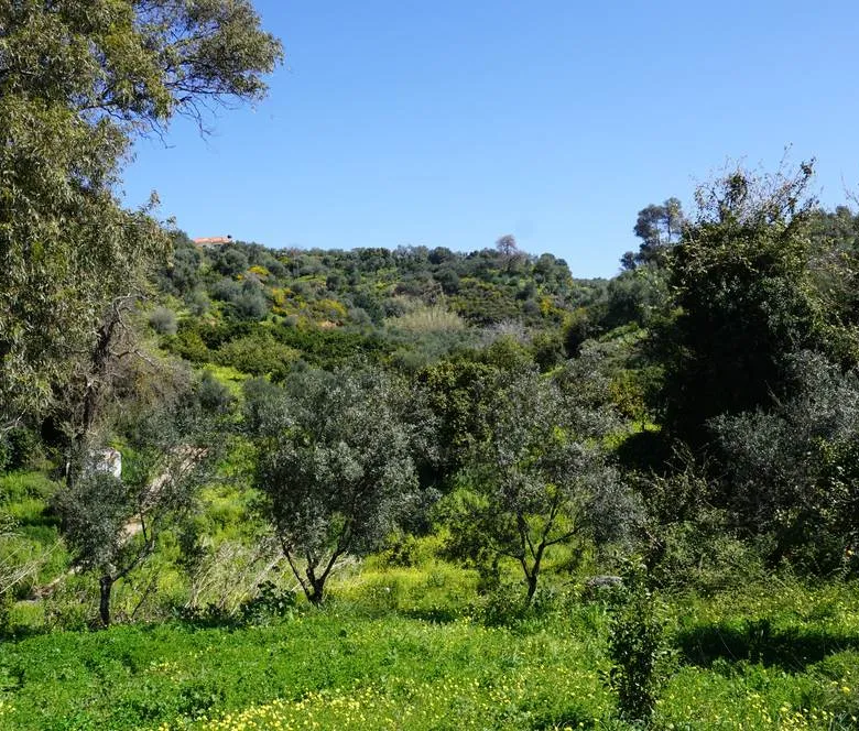 Peaceful Plot for Sale in Platanias - ARENCORES, Chania Real Estate Agents