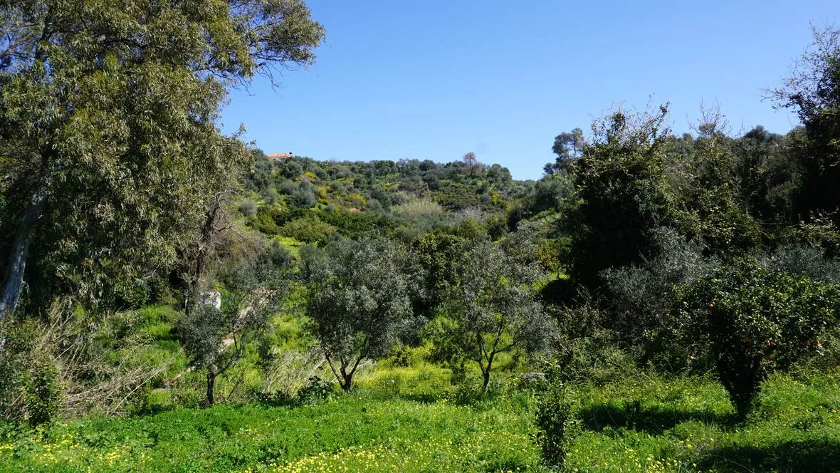 Peaceful Plot for Sale in Platanias - ARENCORES, Chania Real Estate Agents