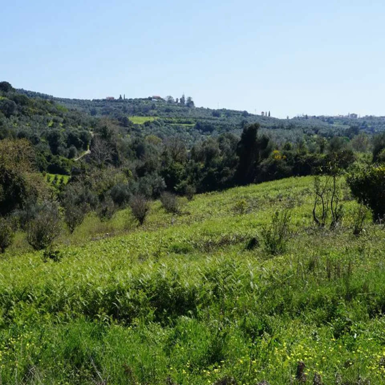 Peaceful Plot for Sale in Platanias - ARENCORES, Chania Real Estate Agents