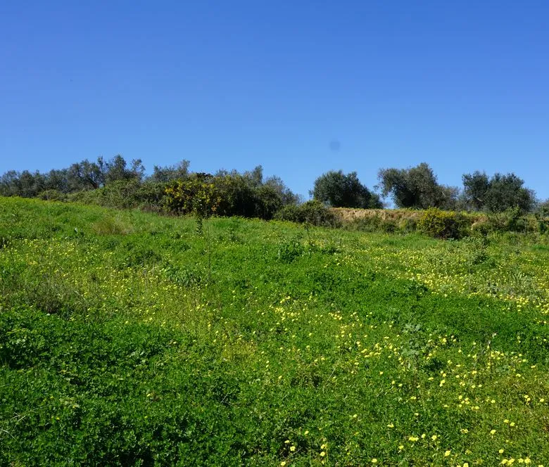 Peaceful Plot for Sale in Platanias - ARENCORES, Chania Real Estate Agents