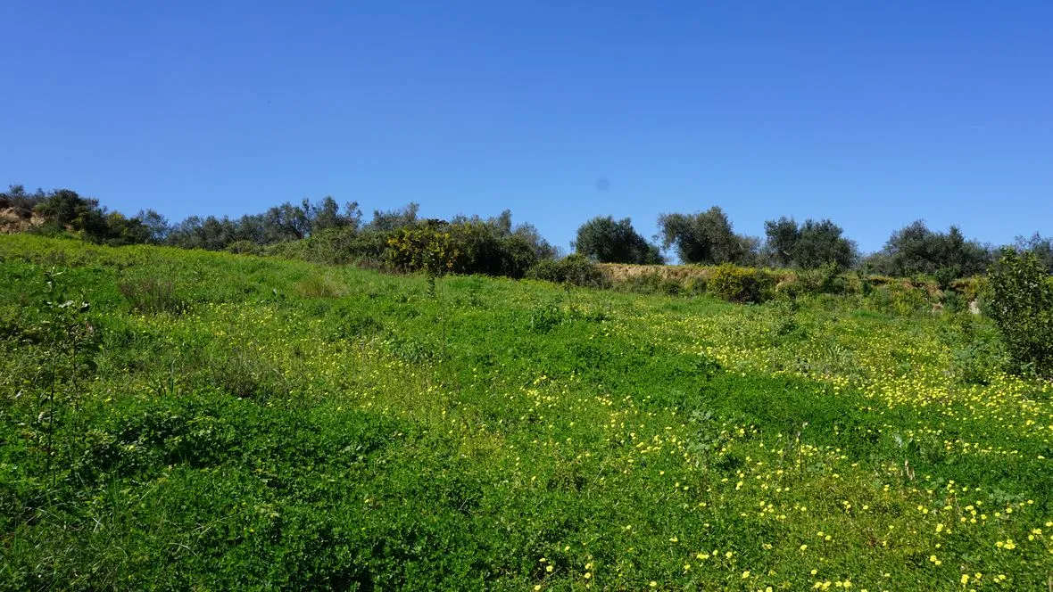 Peaceful Plot for Sale in Platanias - ARENCORES, Chania Real Estate Agents