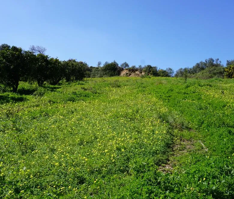 Peaceful Plot for Sale in Platanias - ARENCORES, Chania Real Estate Agents