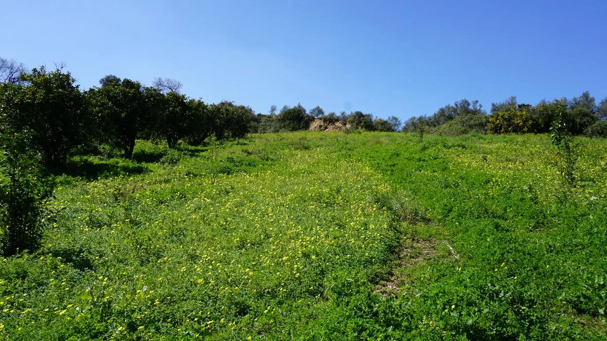 Peaceful Plot for Sale in Platanias - ARENCORES, Chania Real Estate Agents