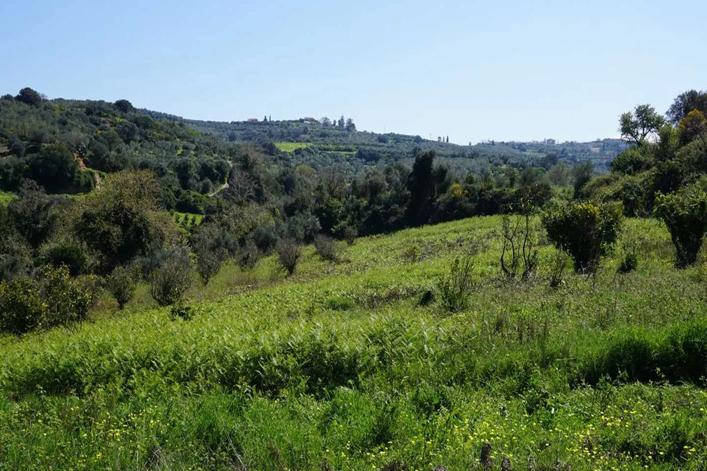 Peaceful Plot for Sale in Platanias - ARENCORES, Chania Real Estate Agents